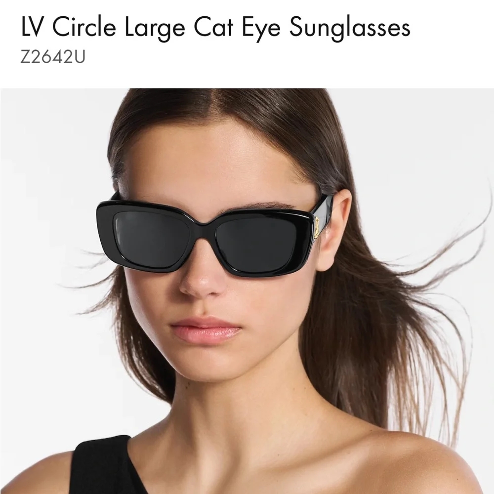 Louis Vuitton Black Sunglasses - Picture 1 of 8